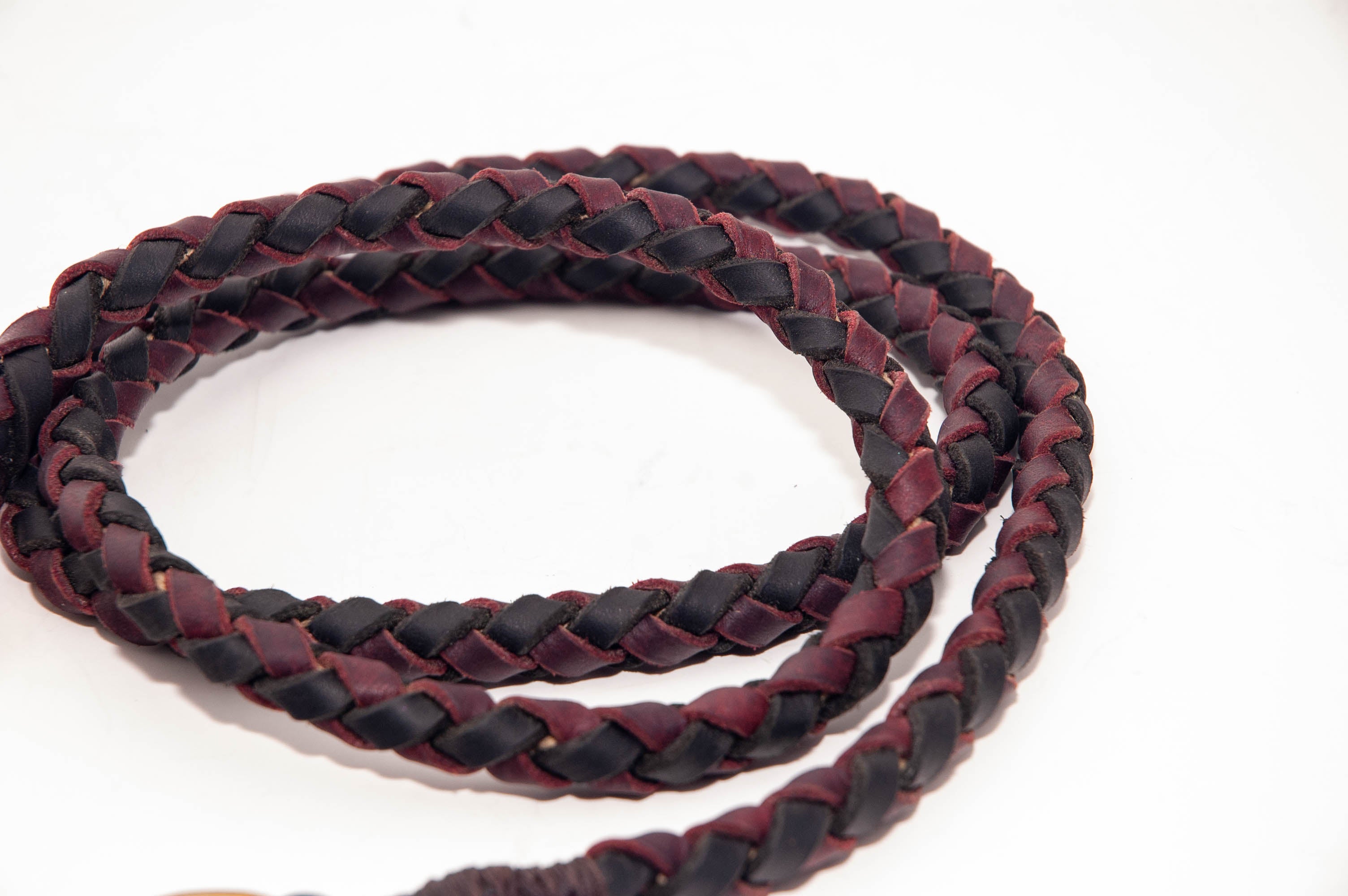 Dog Leash
