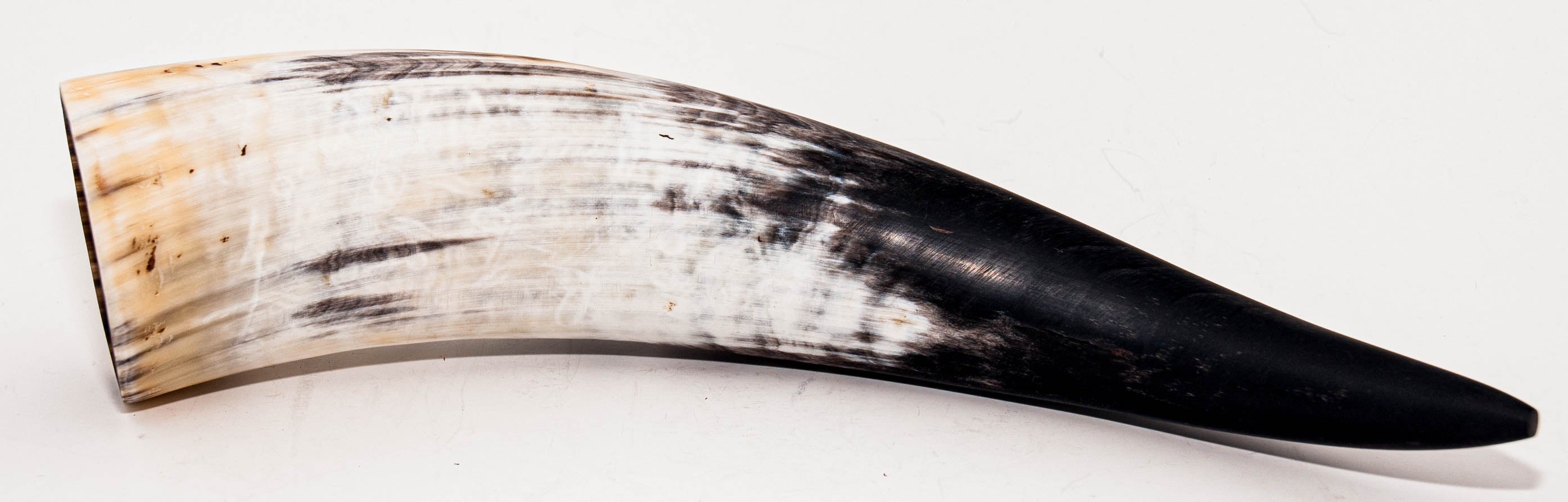 Round Brown Laced Edge Drinking Horn