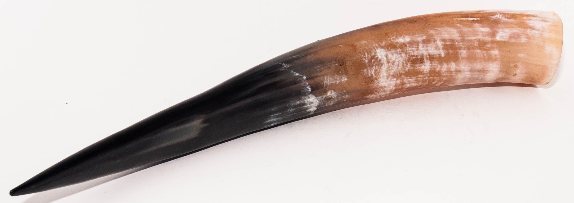Drinking Horn - XL Boa Print